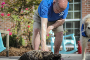 man pets therapy cat