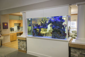 Fish tank in Woodbury Facility