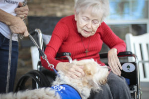 Woodbury patient petting a therapy dog